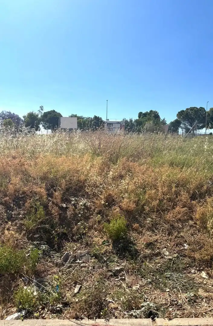 Terreni e lotti in vendita a Gerena, imagen 3