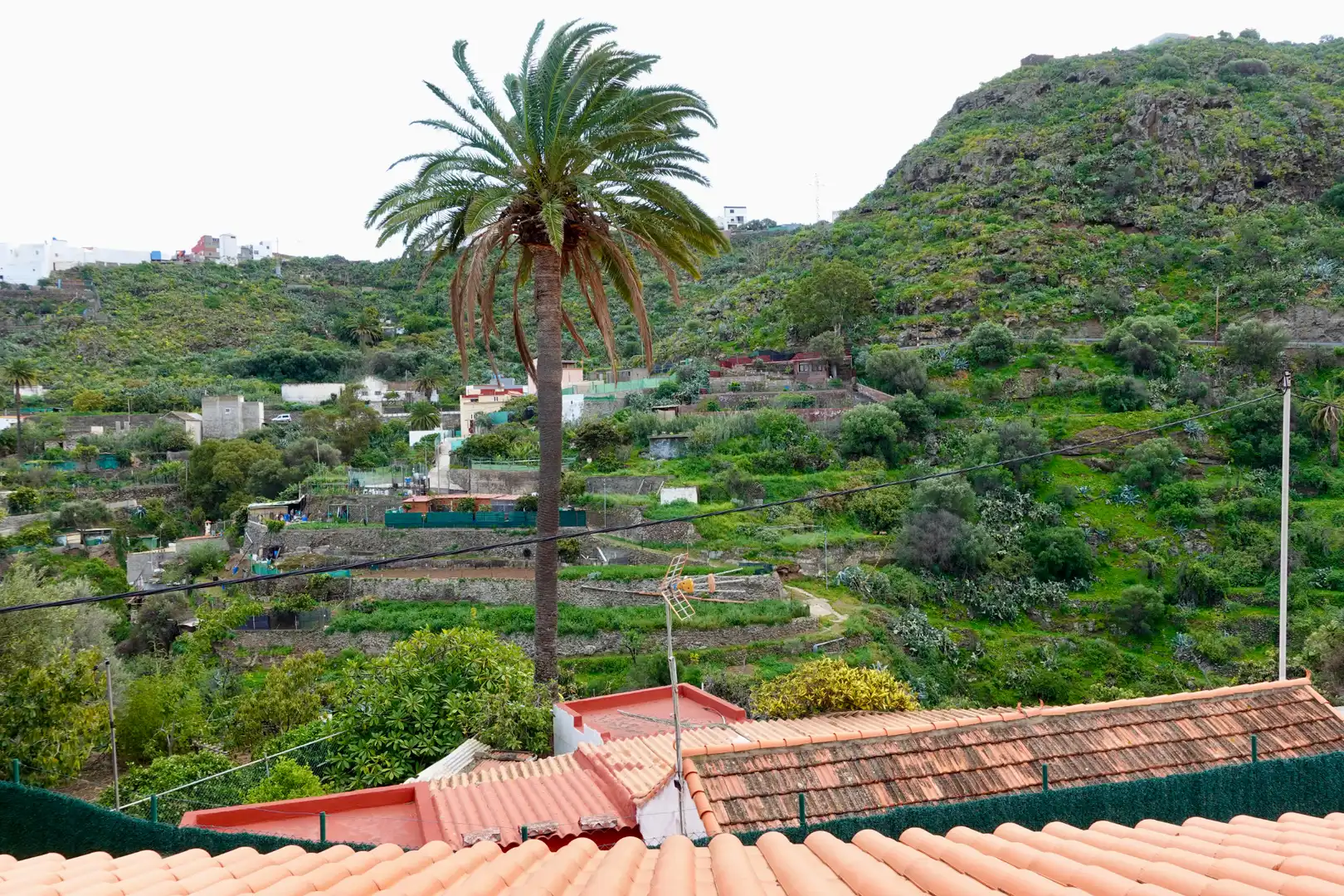 Vista exterior de Casa o chalet en venta en Telde con Jardín privado, Terraza y Amueblado