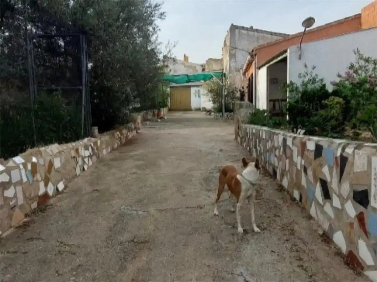 Vista exterior de Casa o xalet en venda en Balsa de Ves amb Jardí privat, Traster i Moblat