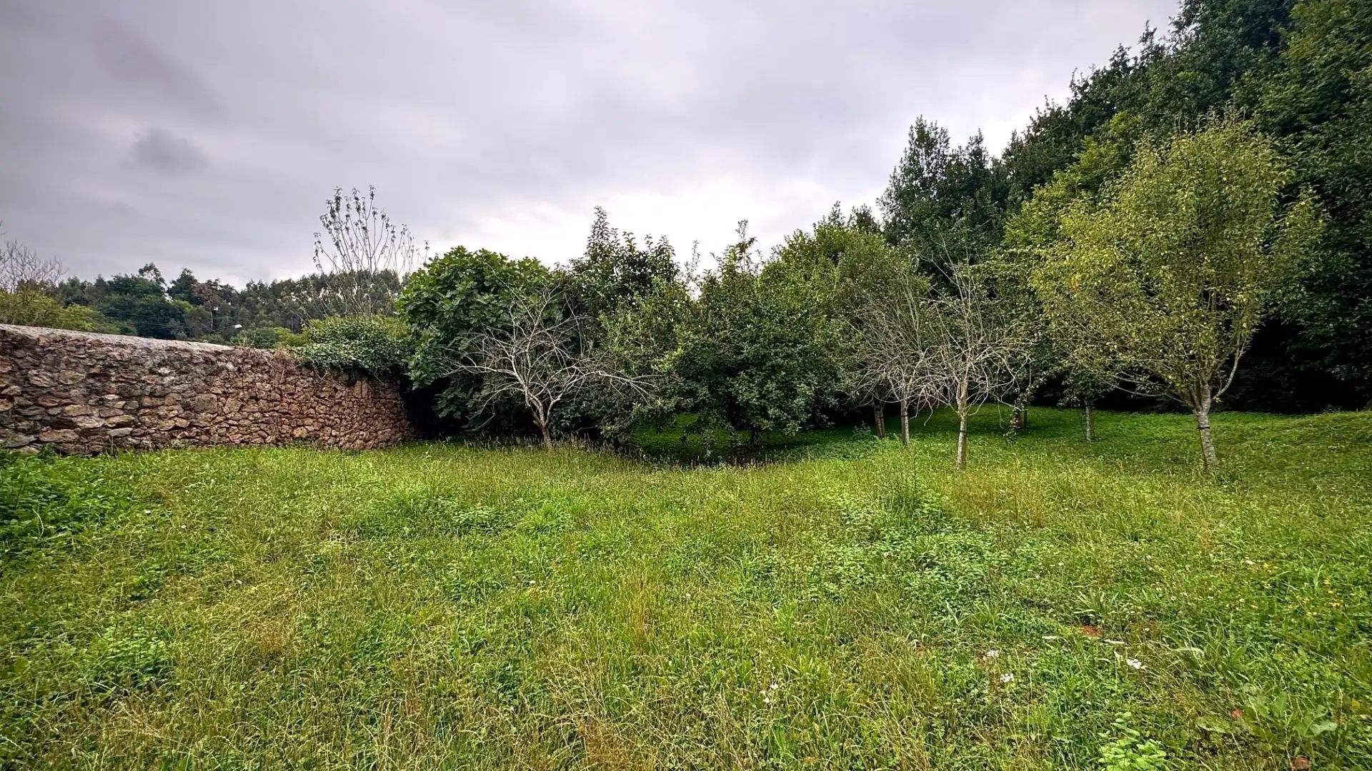 Terreny residencial en venda a Alfoz de Lloredo