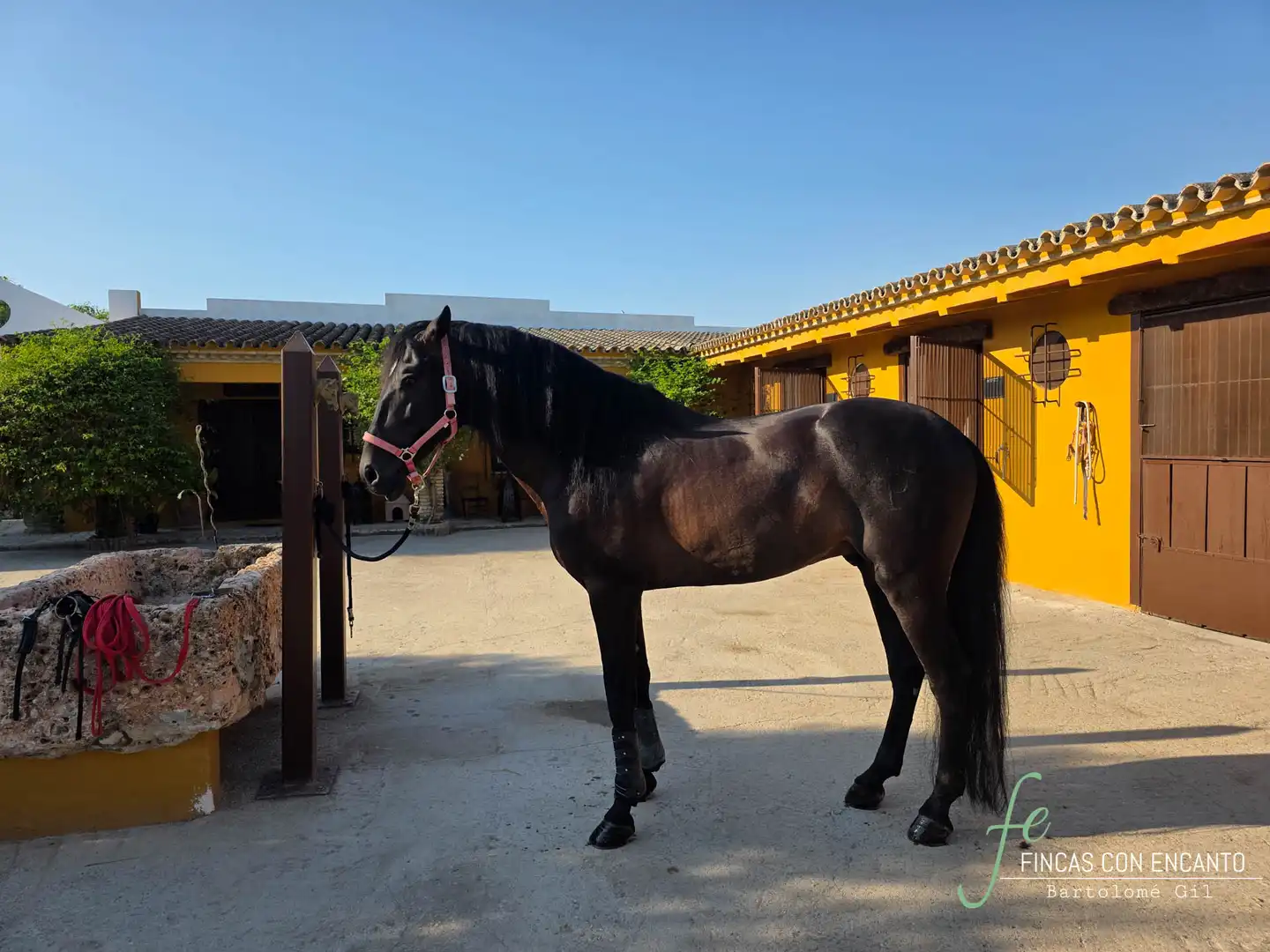 Country house with pool for sale in Morón de la Frontera, imagen 9