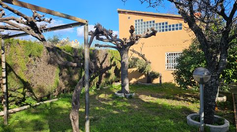 Foto 2 de Finca rústica en venta en Calle Dels Morts, Migjorn, Reus