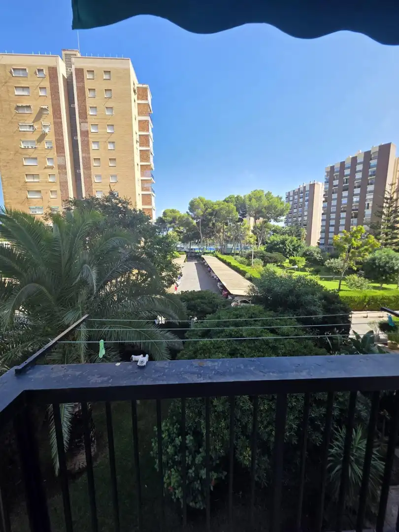 Apartments for rent in Calle GABRIEL Y GALAN-CMOR, Campoamor