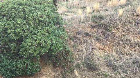 Photo 2 of Residential for sale in Benagalbón, Málaga