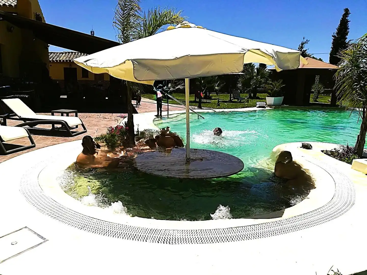 Piscina de Residencial en venta en Jerez de la Frontera