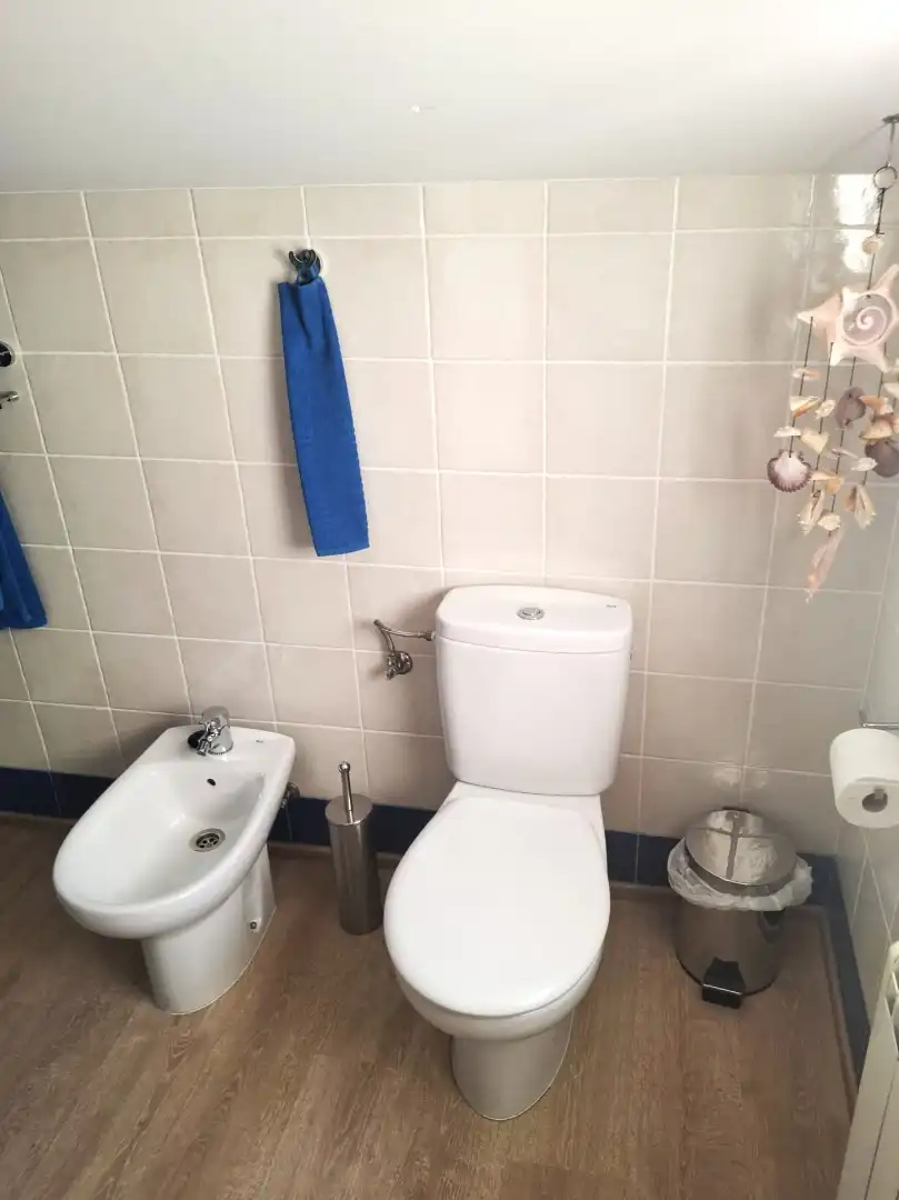 Bathroom of Attic for sale in Vélez-Blanco, Almería