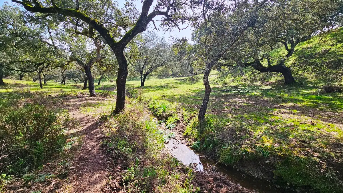 Terreni e lotti in vendita a Santa Olalla del Cala, imagen 19