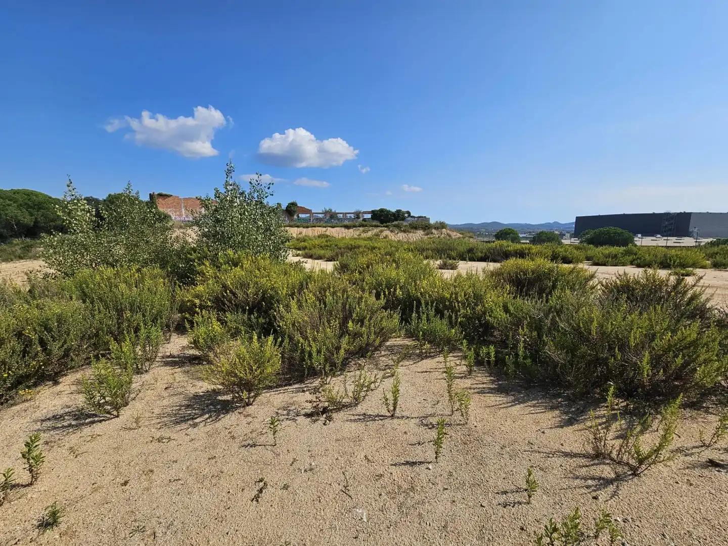 Terrenos y solares en venta en Palafolls, imagen 7