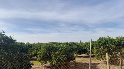 Oportunidad Finca de Naranjo, immagine 2