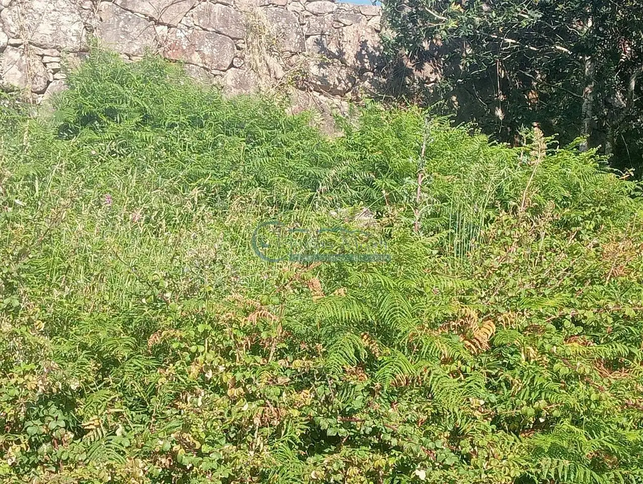 Wohnbaugrundstück zum Verkauf in Baiona, imagen 10