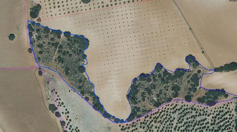 🌿 FINCA RÚSTICA DE 2 HECTÁREAS EN VENTA – MUNERA 🌿