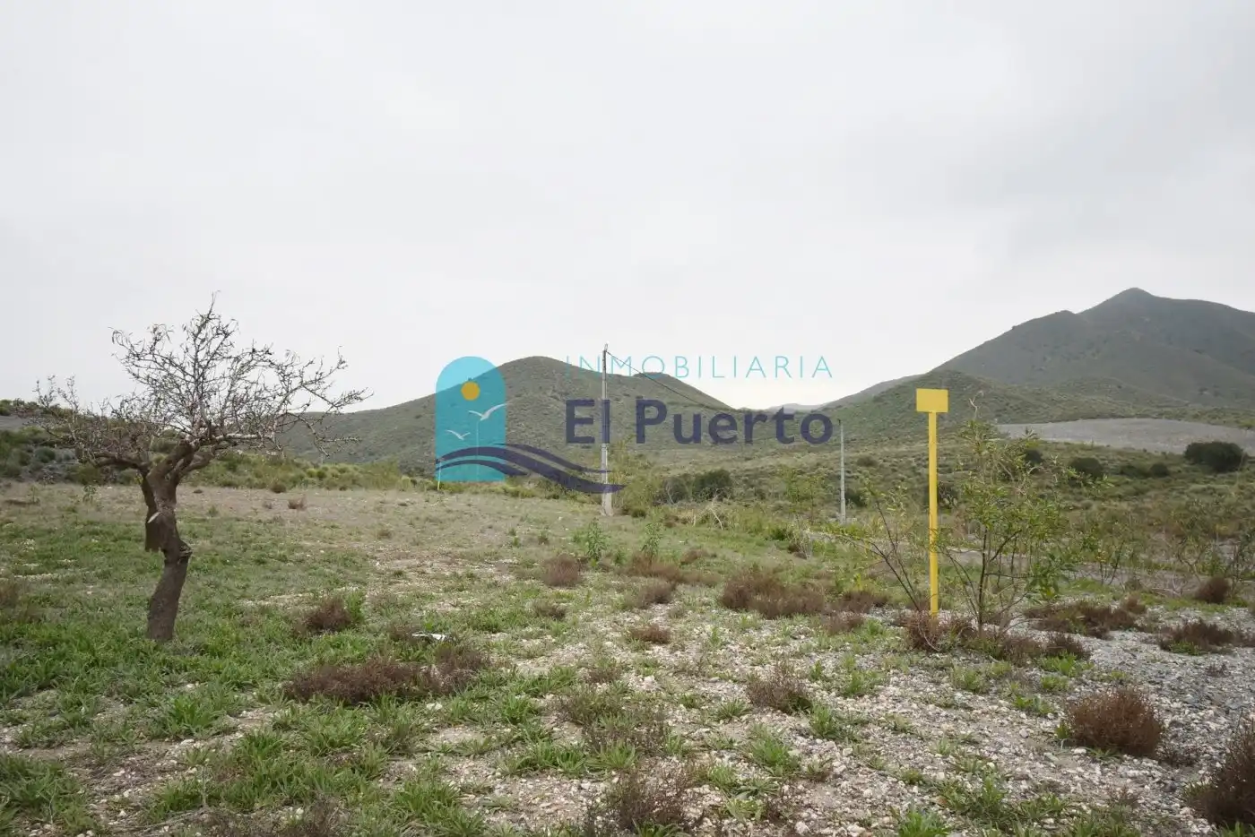 Terreno rústico en venta en Pedanías Oeste, imagen 17