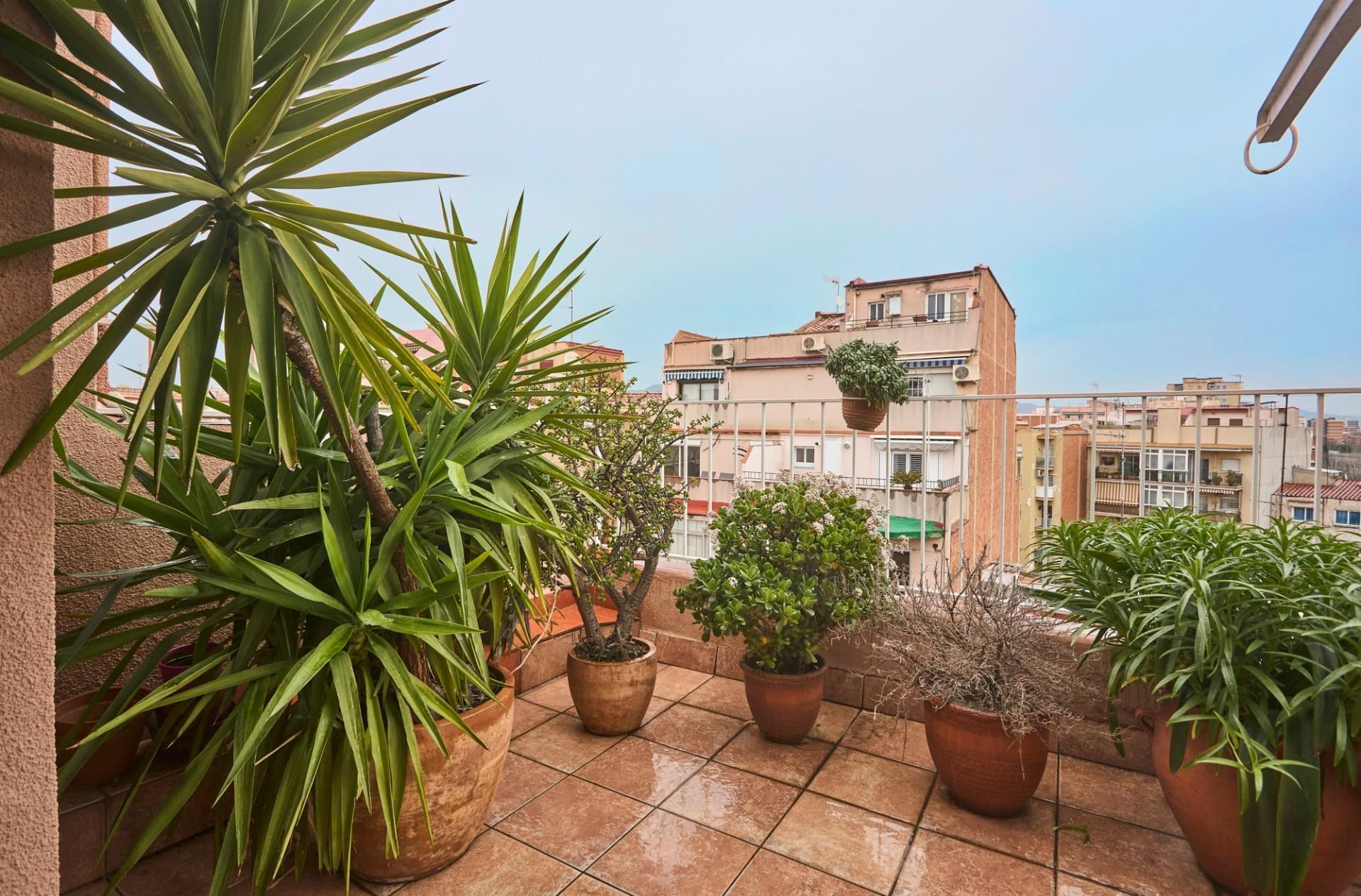 Terrace of Attic for sale in Sant Adrià de Besòs  with Terrace