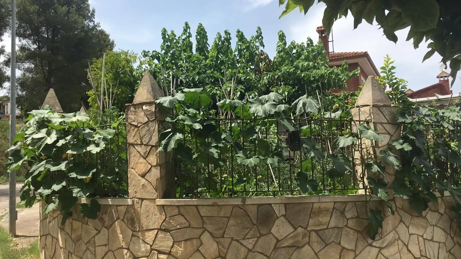 Garden of Houses for sale in Sant Boi de Llobregat  with Air Conditioner, Heating and Swimming Pool