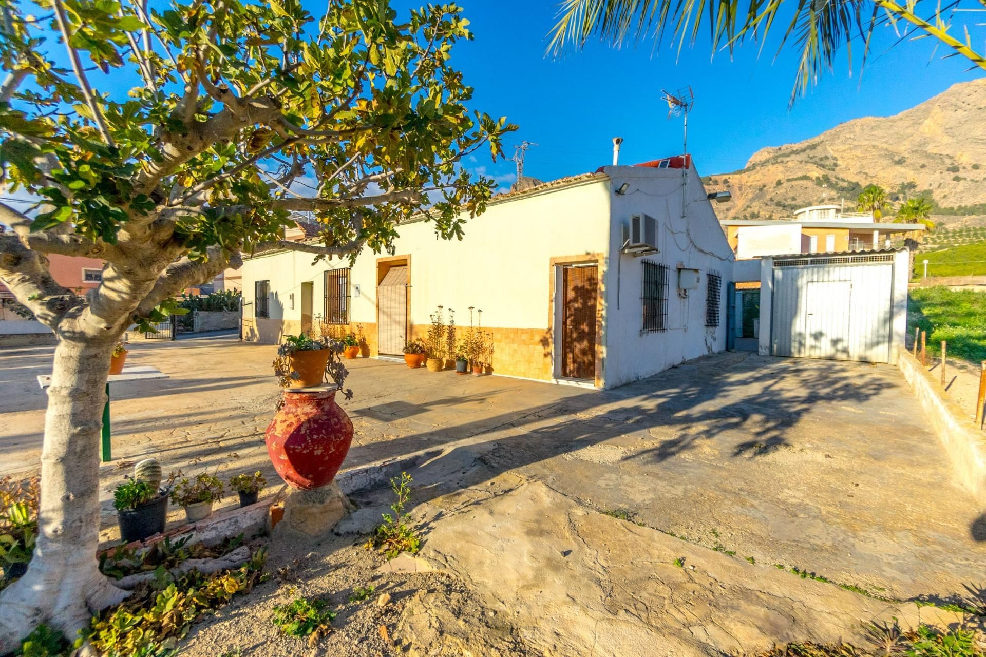 Exterior view of Country house for sale in Orihuela
