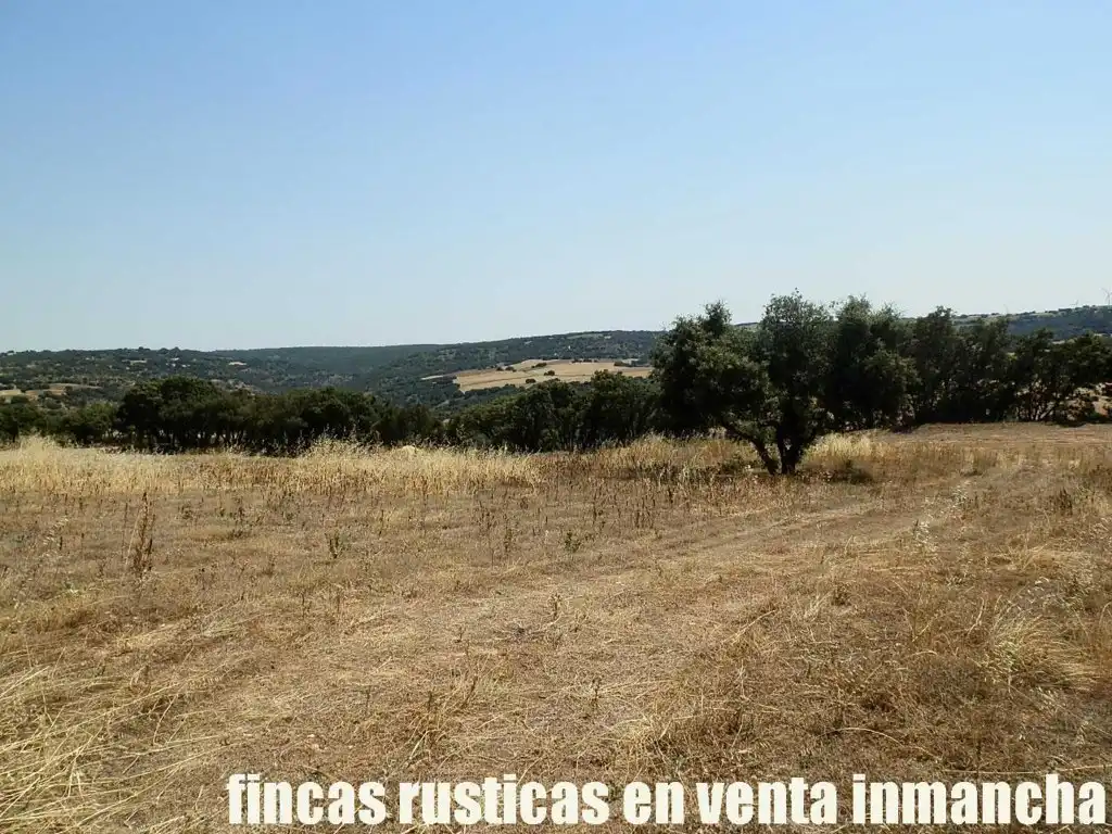 Rustikales Grundstück zum Verkauf in Alcocer, imagen 14