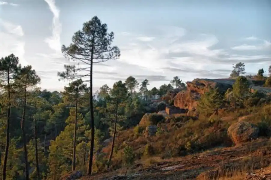 Exterior view of Land for sale in Cuenca