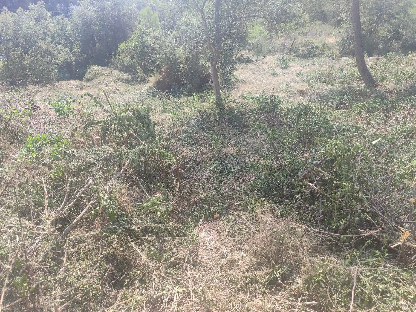 Wohnbaugrundstück zum Verkauf in Carrer Garraf 102, imagen 9
