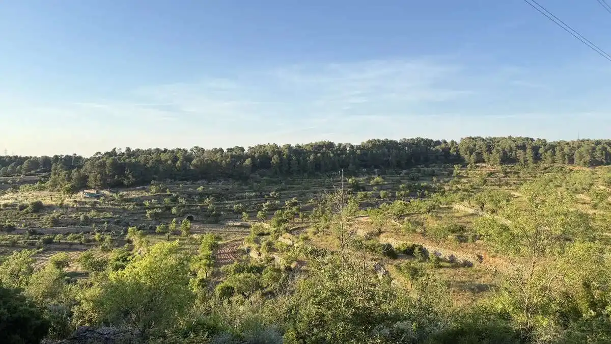 Xalet amb jardí en venda a La Fatarella, imagen 11