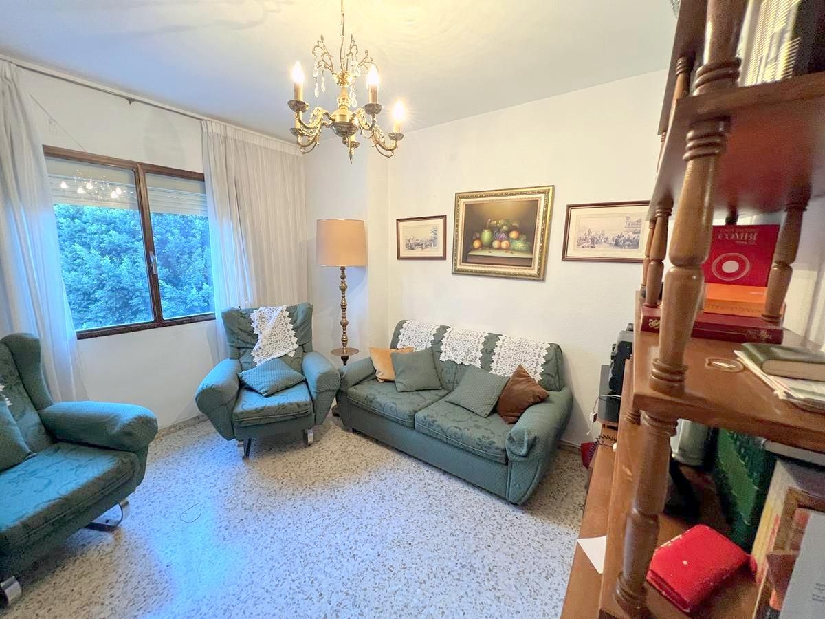 Living room of Flat for sale in Málaga Capital  with Terrace
