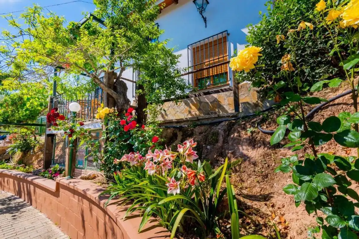 Casa rústica con piscina en venta en MA-901, imagen 16