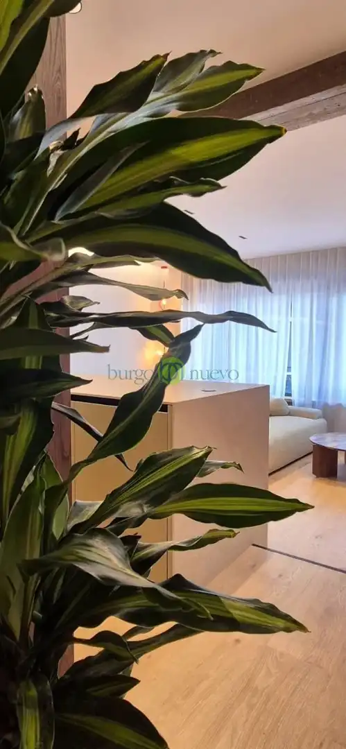 Apartment with lift for sale in Calle San Agustín, imagen 9