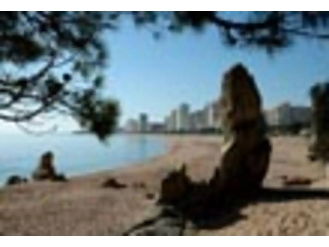 Exterior view of Apartments for sale in Calonge i Sant Antoni  with Air Conditioner