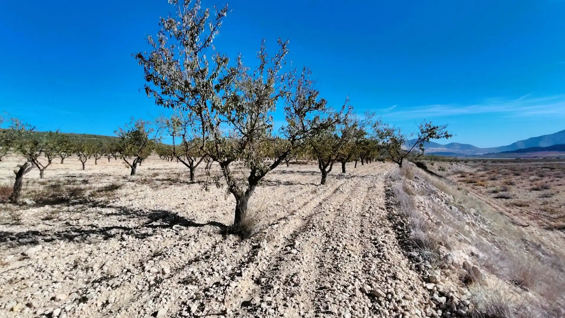 Lands and plots for sale in Abanilla, imagen 21