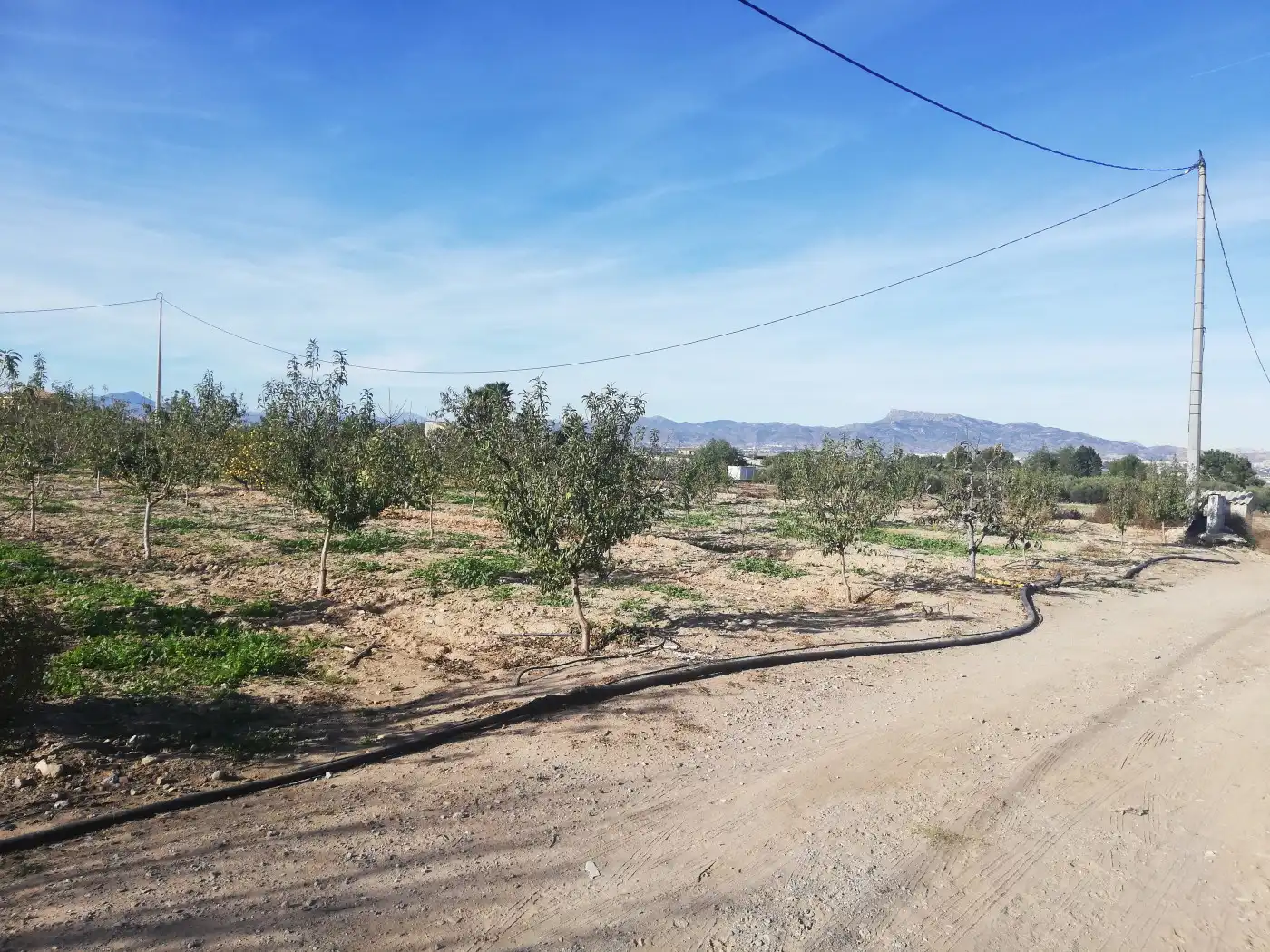 Houses for sale in Lorca  with Private garden