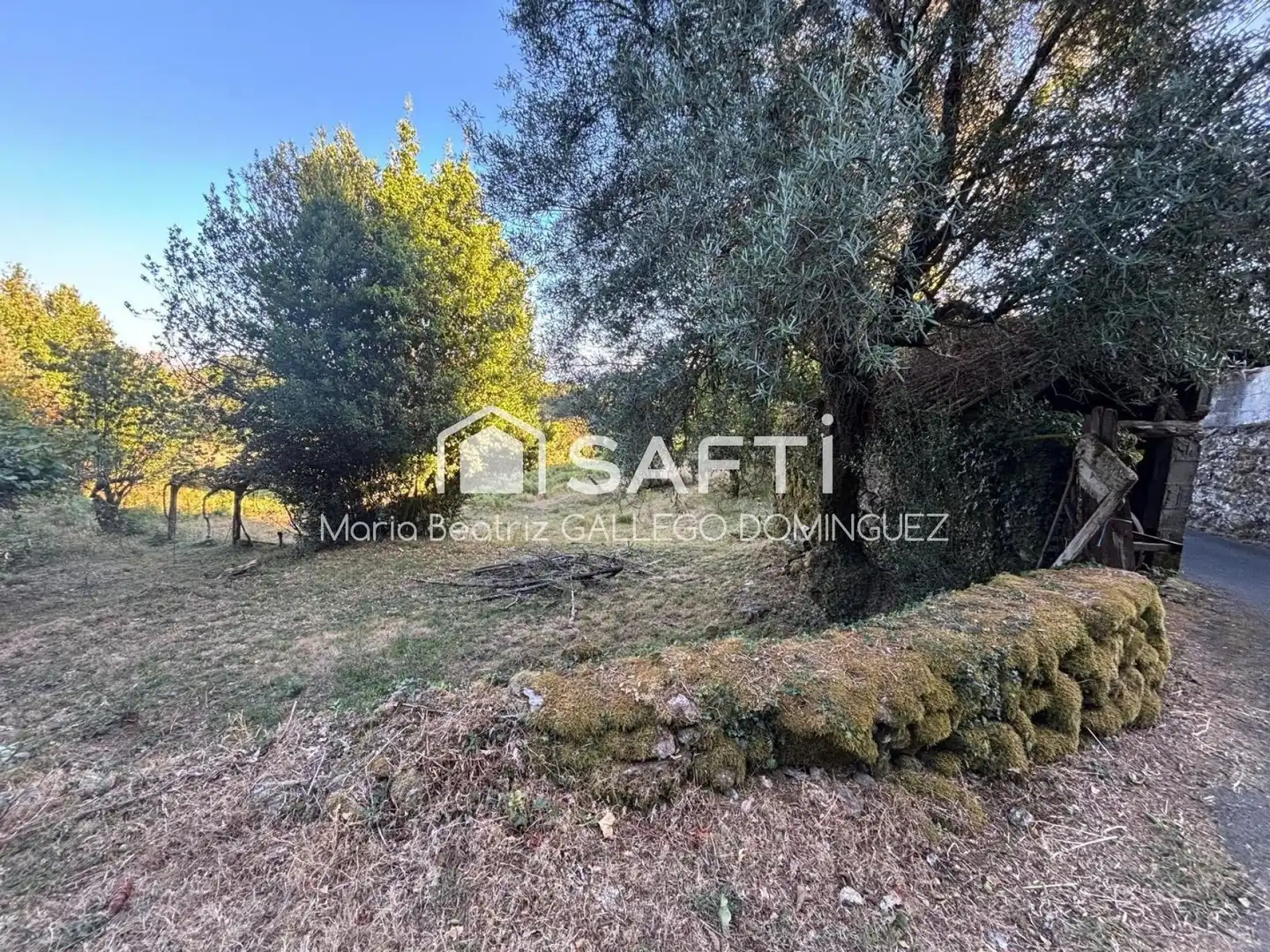 Country homes for sale in A Cañiza  