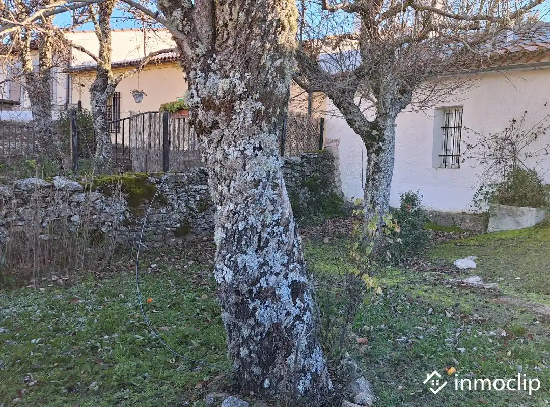 Jardín de Finca rústica en venta en Membribe de la Sierra con Trastero