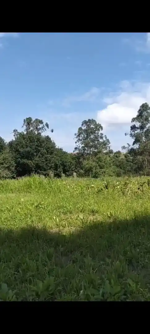Finca rústica en venta en Valdáliga