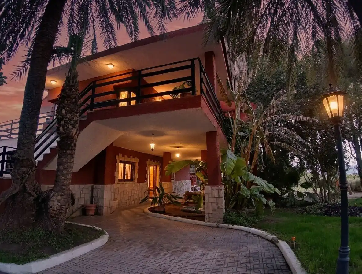 Vista exterior de Casa o chalet en venta en Albalat dels Tarongers con Terraza