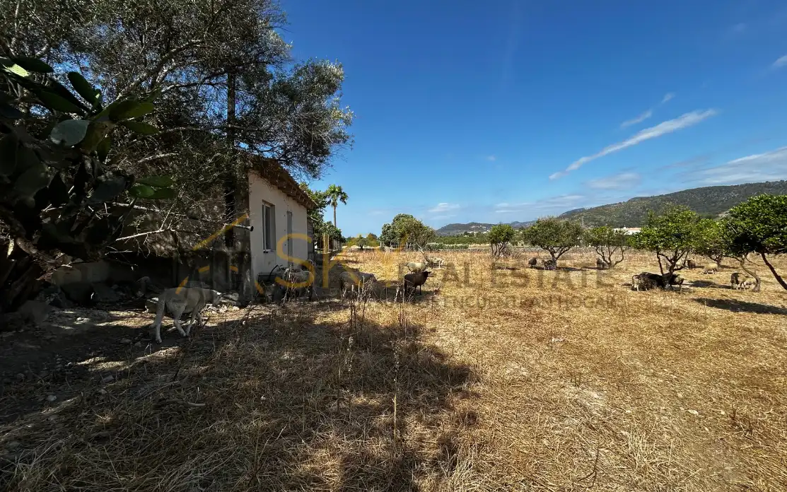 Terrain rustique à vendre à Diseminado Poligono 9 278, imagen 7