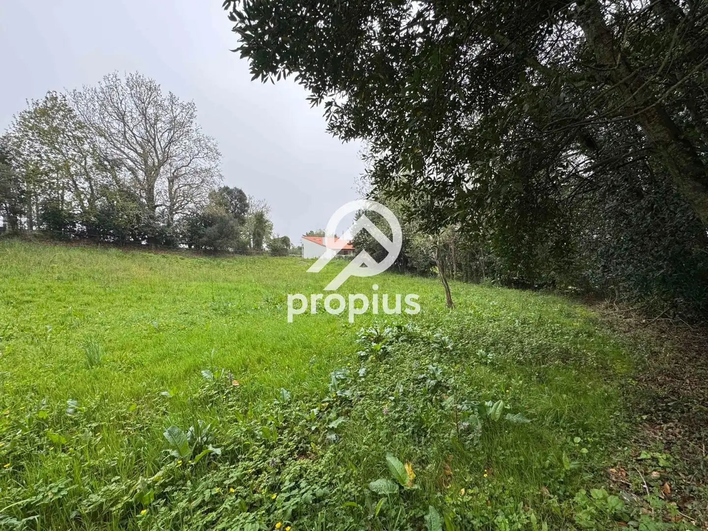 Terreno rustico in vendita a CARDOSO, imagen 6