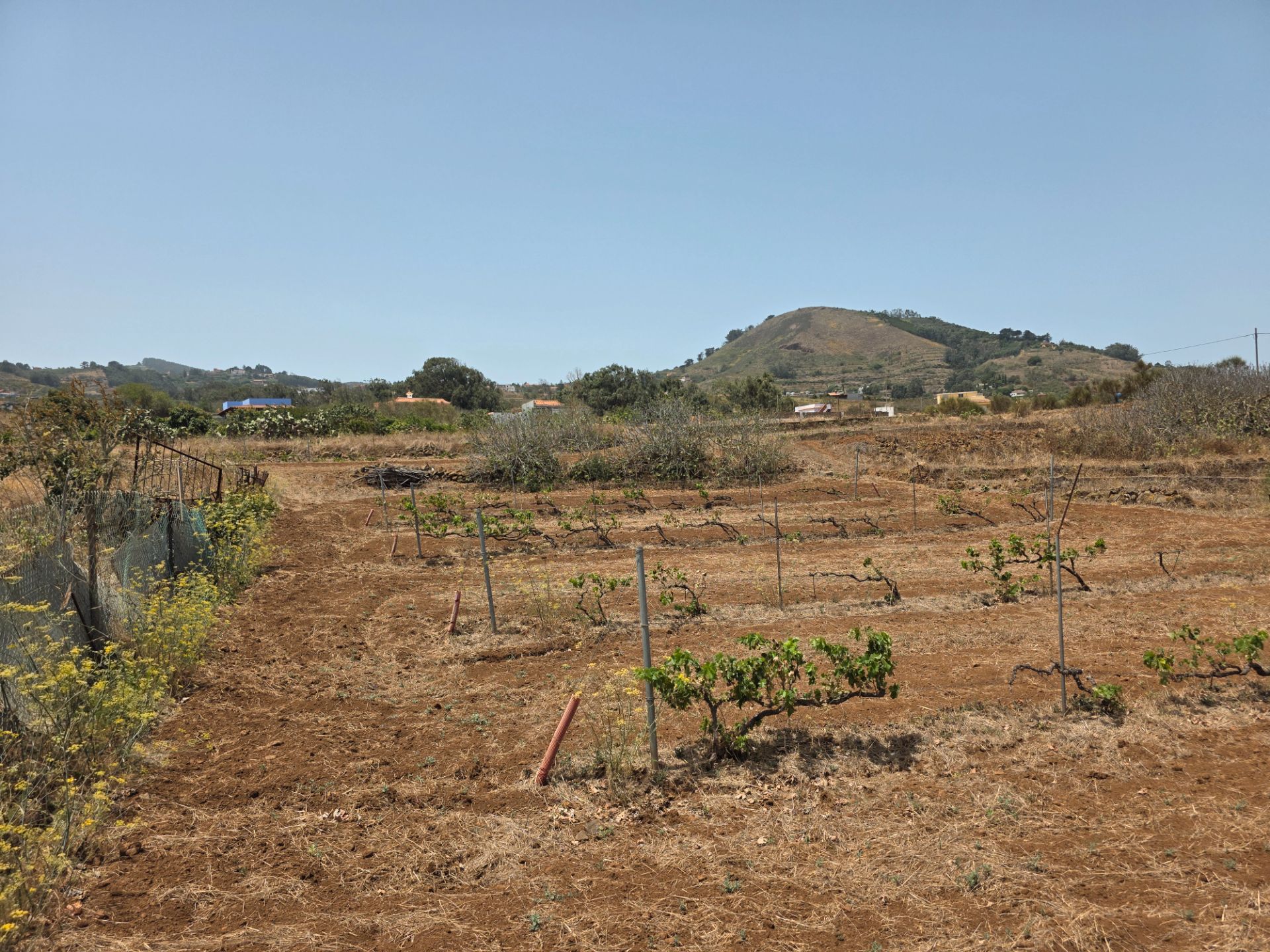 Terreno en venta en La Esperanza - Llano del Moro