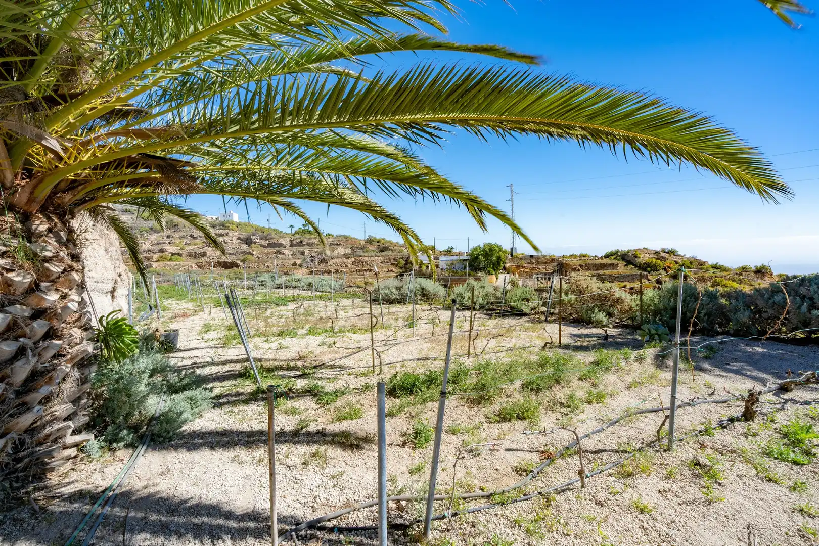 Finca rústica en venda en Güímar amb Jardí privat, Terrassa i Moblat