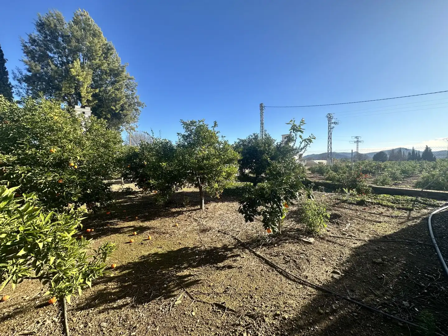 House with terrace for sale in Algímia de Alfara, imagen 47