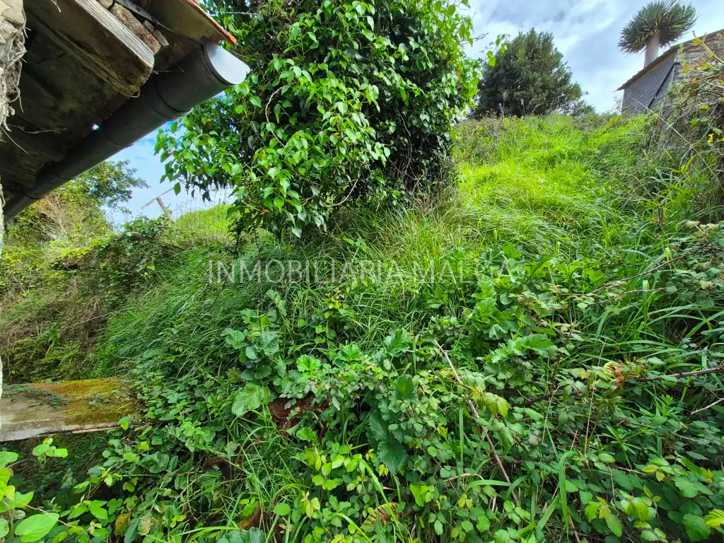 Casa o xalet en venda en Colunga amb Jardí privat
