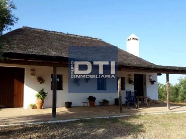 Casa amb jardí en venda a Chucena- Villamanrique A-481 Km 15