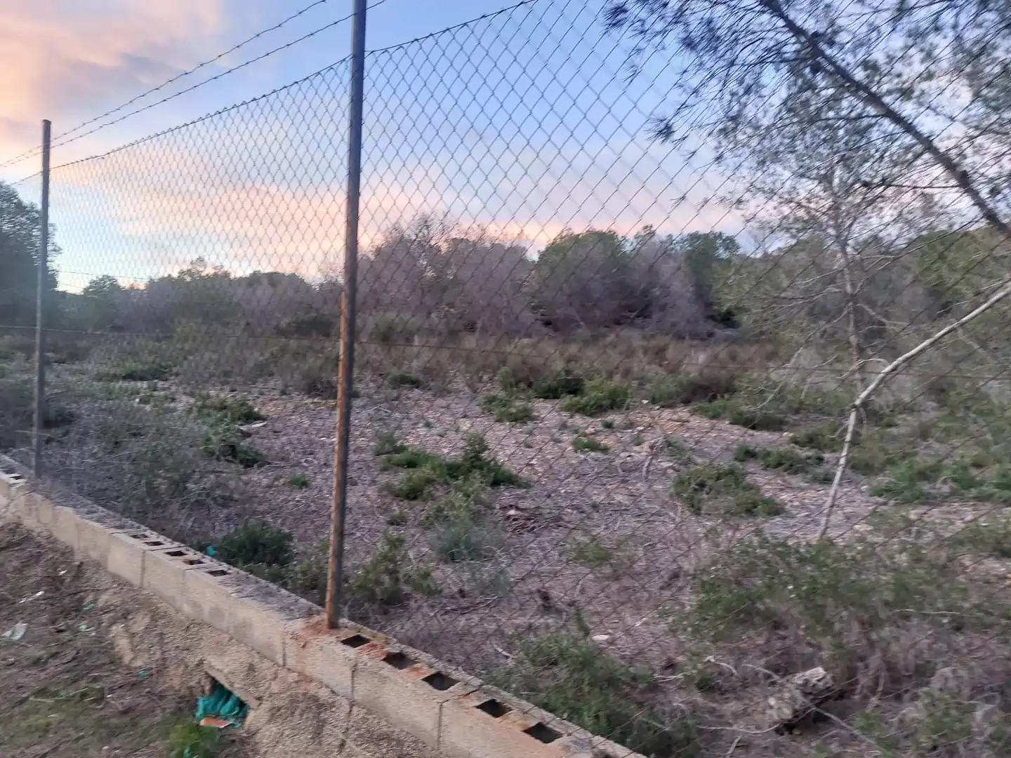 Terreny rústic en venda a Camino de los Fructuosos, imagen 2