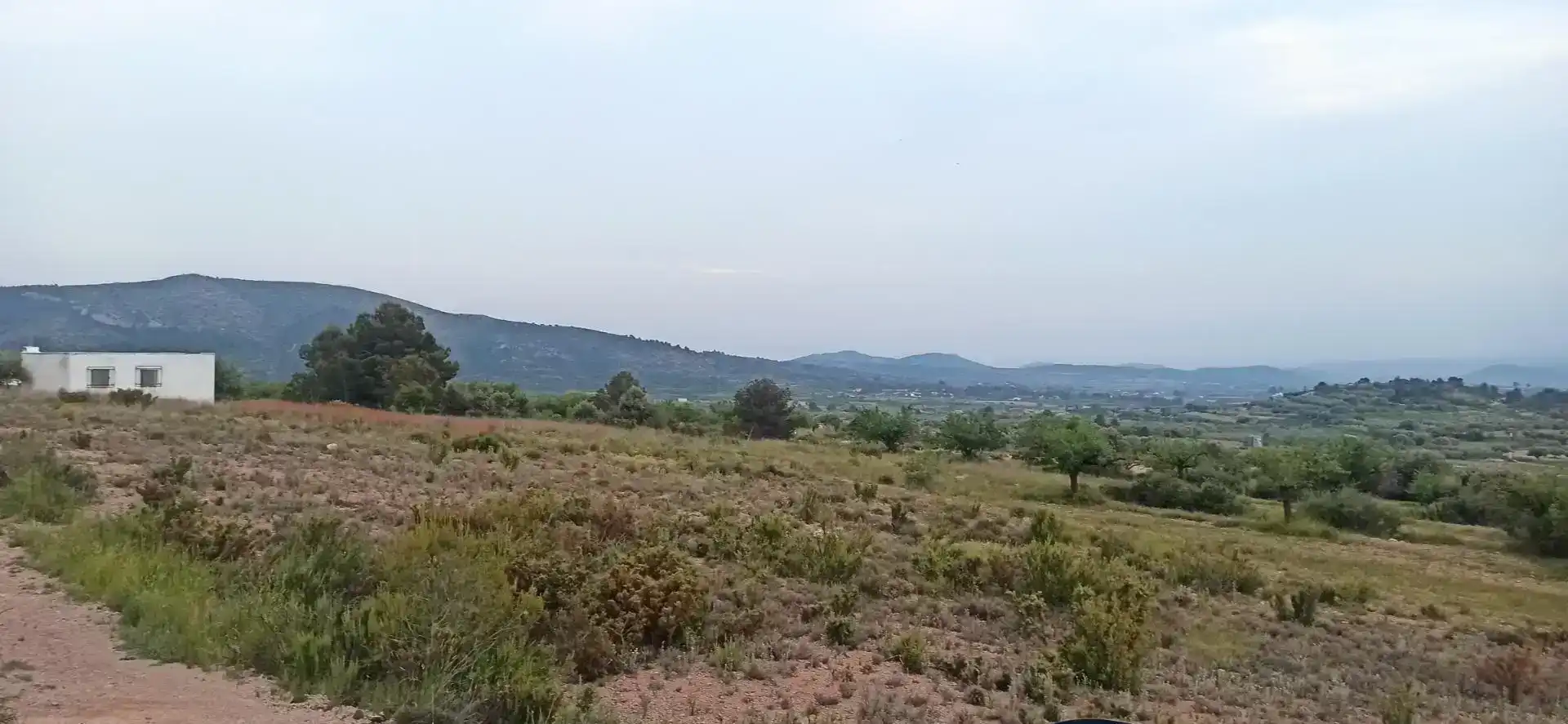 Finca rústica en venda en Andilla