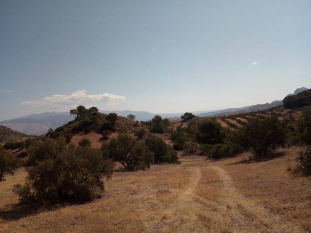 Terreno en Venta en N/A en Quesada