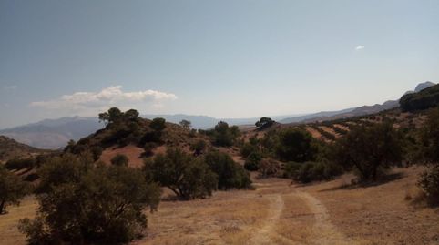 Terreno rústico en venta en c. Cortijo la Hurraca, Quesada, Jaén
