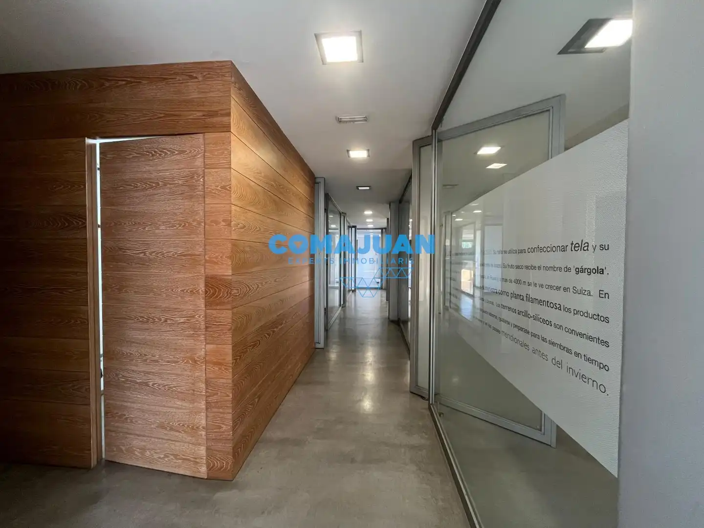 Industrial buildings for rent in Mataró