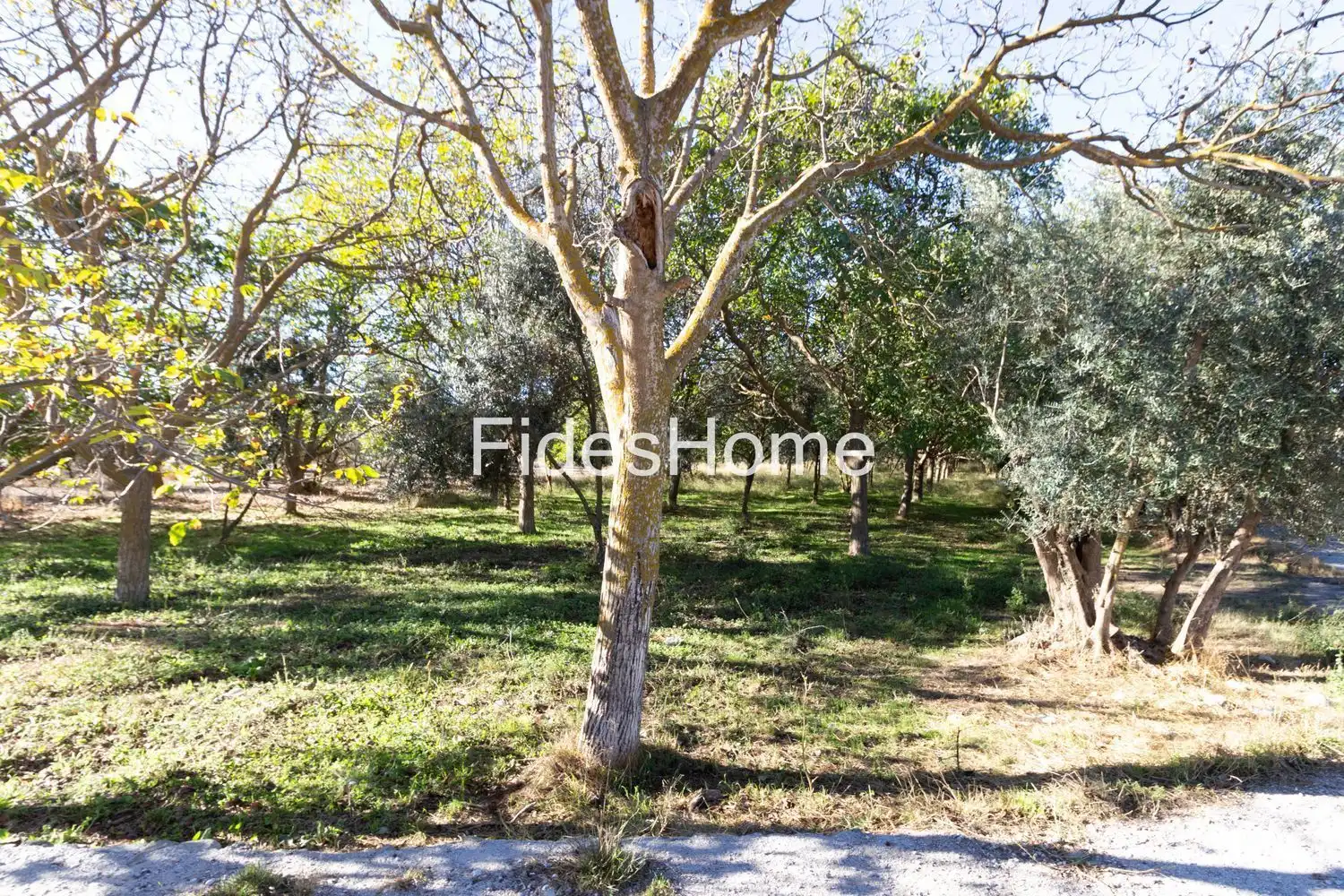Rural land for sale in XFC2+47H Acequias 0, imagen 3