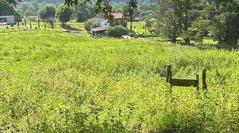 Terreno rustico con posibilidad de construir, immagine 5