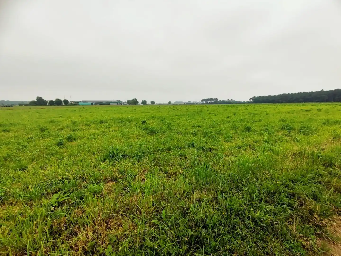 Residential land for sale in Lugar Brul, imagen 2