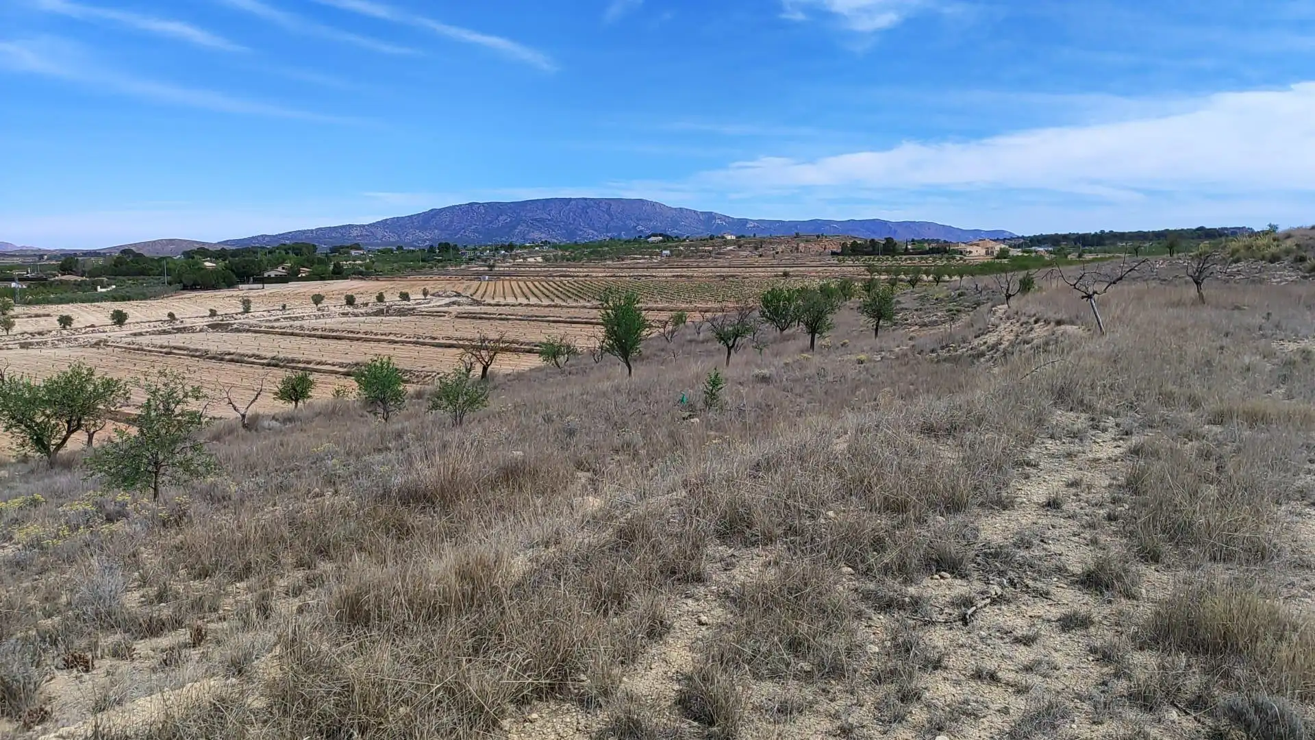Terreno rústico en venta en El Pinós / Pinoso, imagen 6