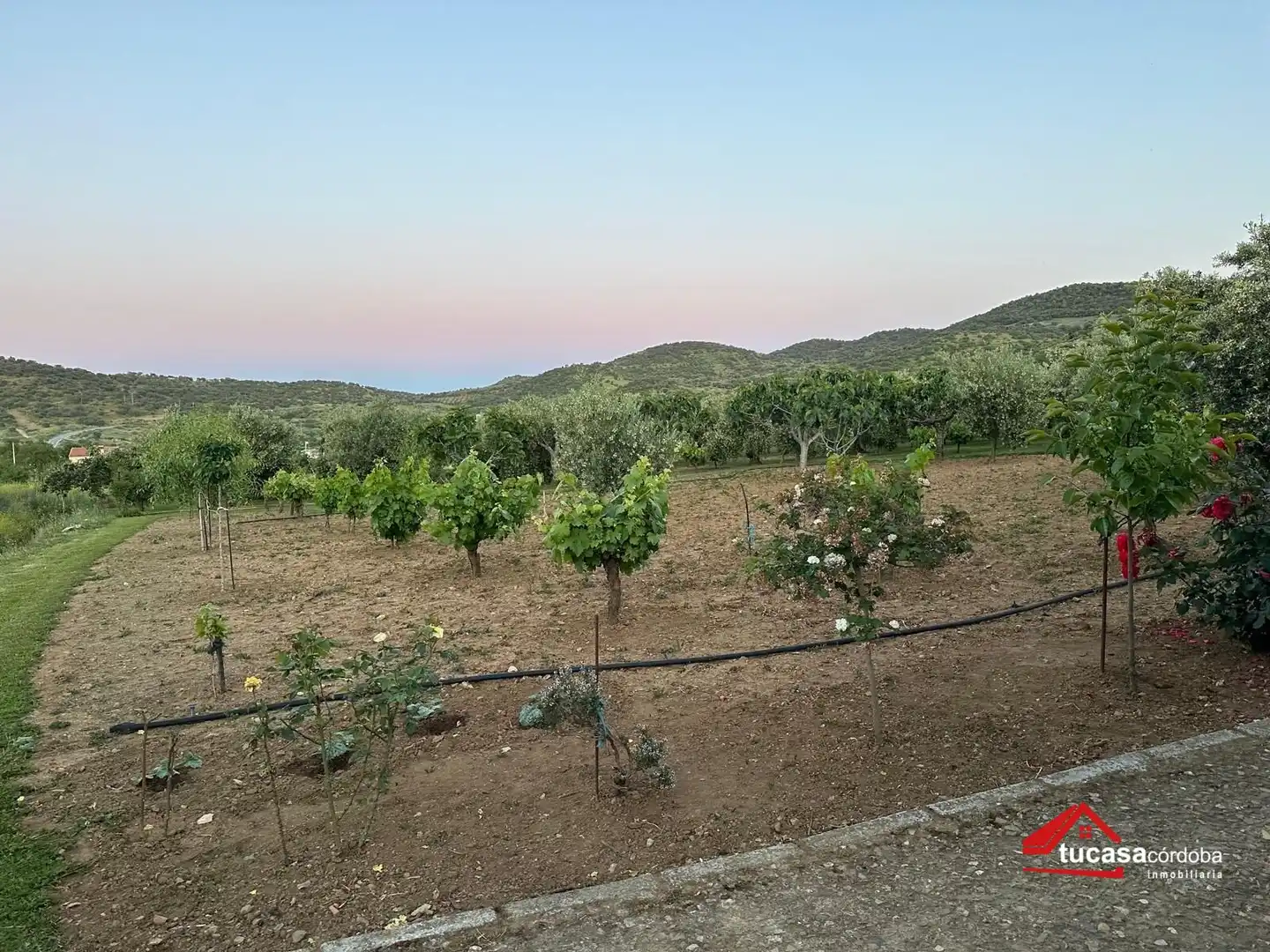 Terreno rustico in vendita a Villanueva del Rey, imagen 36